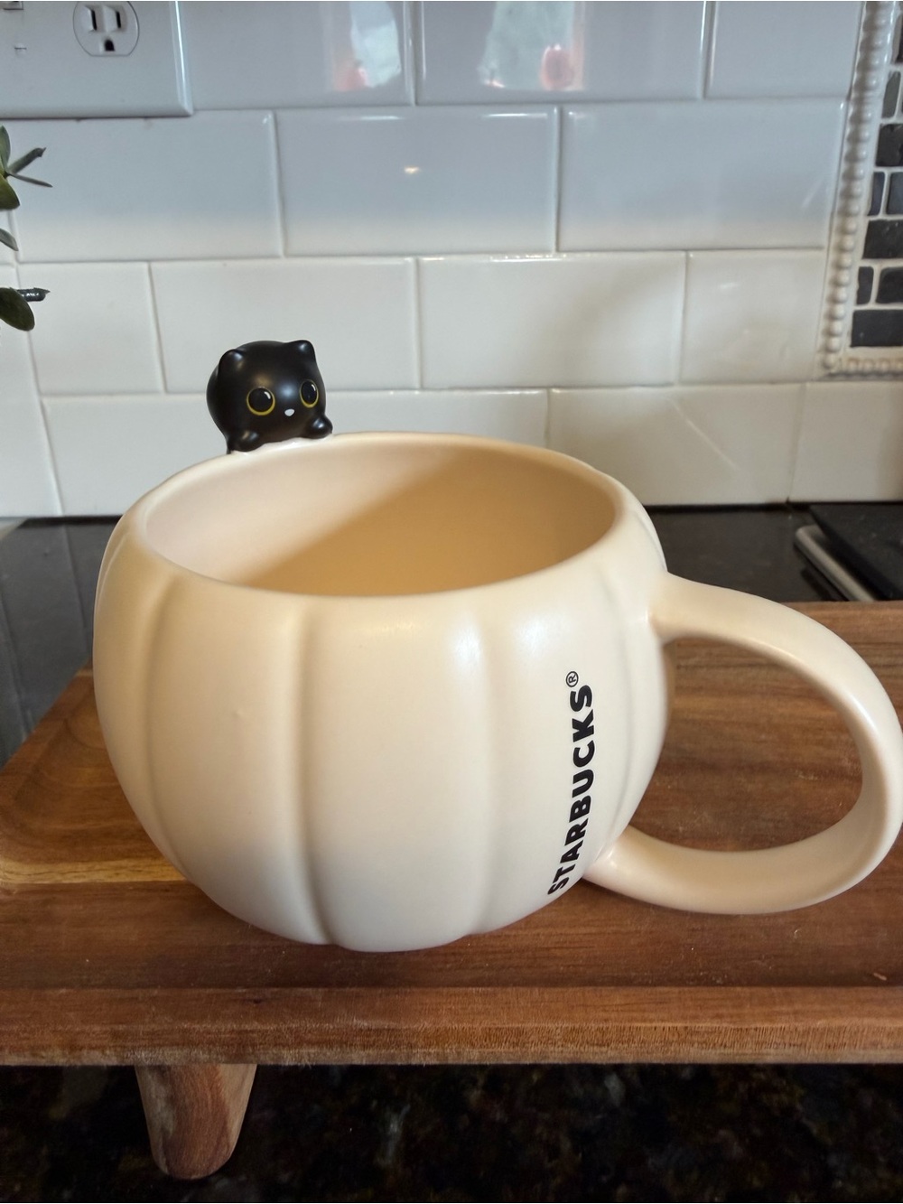 Starbucks Cream Pumpkin Mug with Black Cat Handle Accent